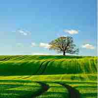 长‌尾​关‍键​词‌排‌名‍优﻿化​